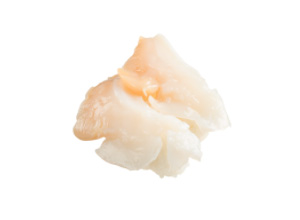 つぶ貝：Whelk shell